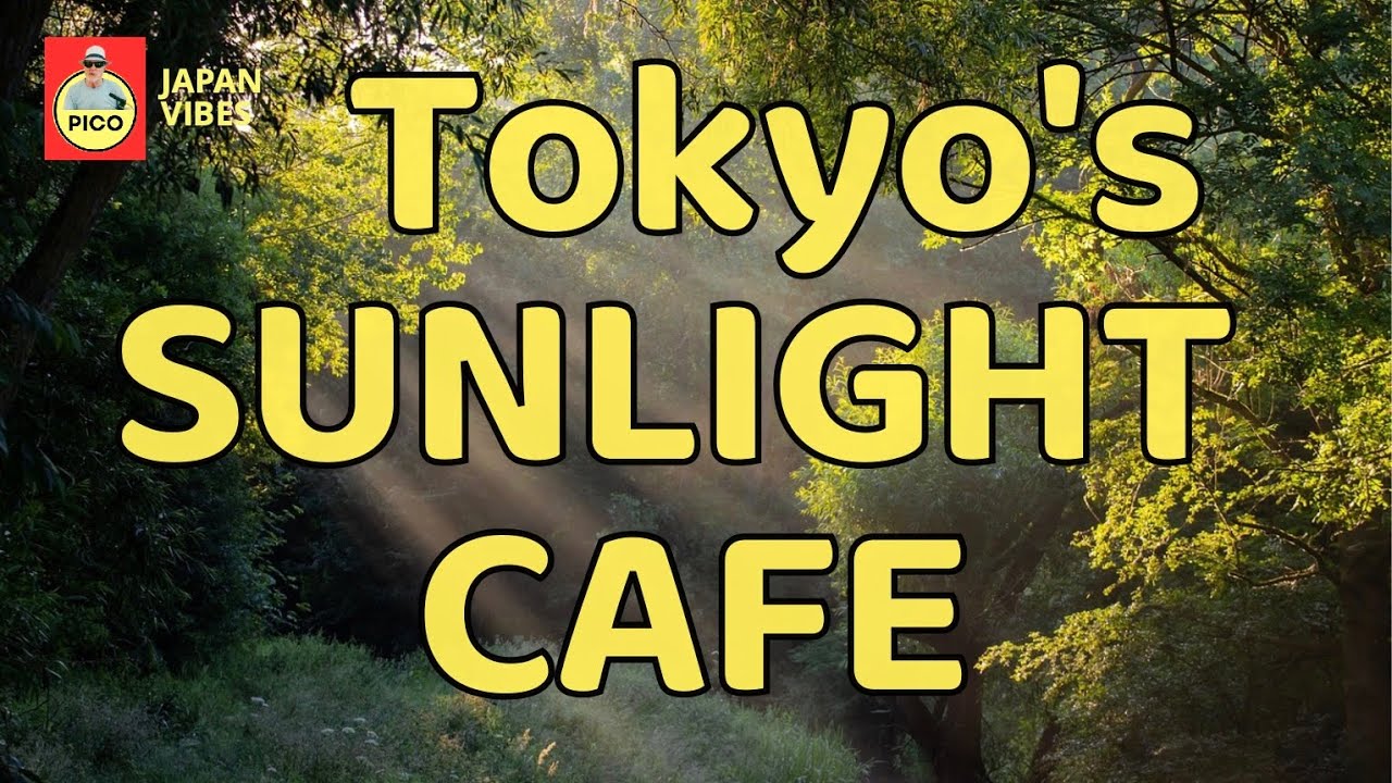 Tokyo's Comorebi Café - 日本語