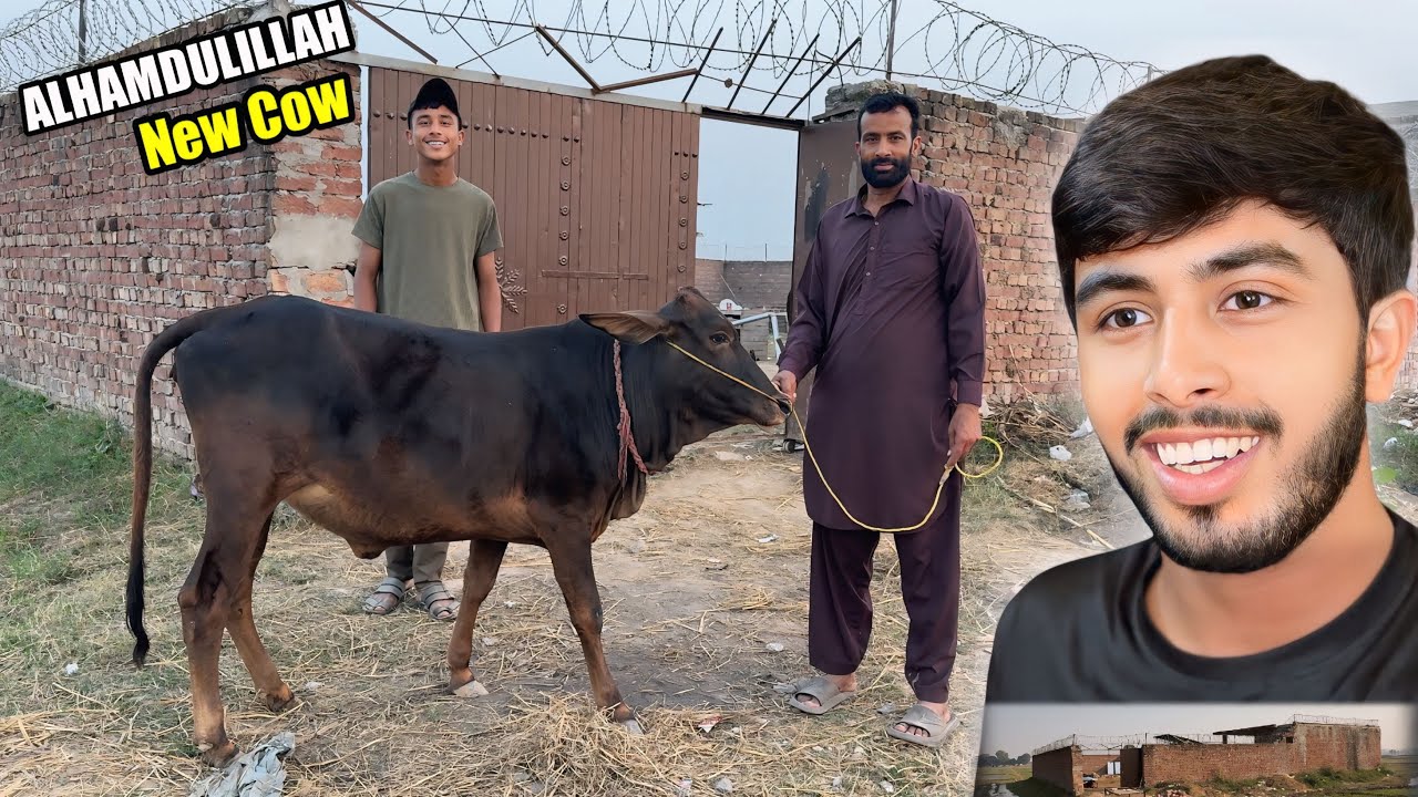 ALHAMDULILLAH 😍 New Cow Aa Gayi 🐄 