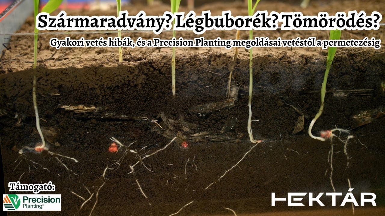 Szármaradvány? Légbuborék? Túltömörített vagy nyitott magárok? Vetési hibáktól a precíz permetezésig