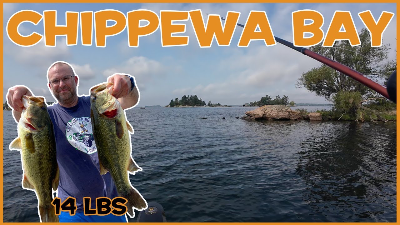 Chippewa Bay #largemouthbassfishing