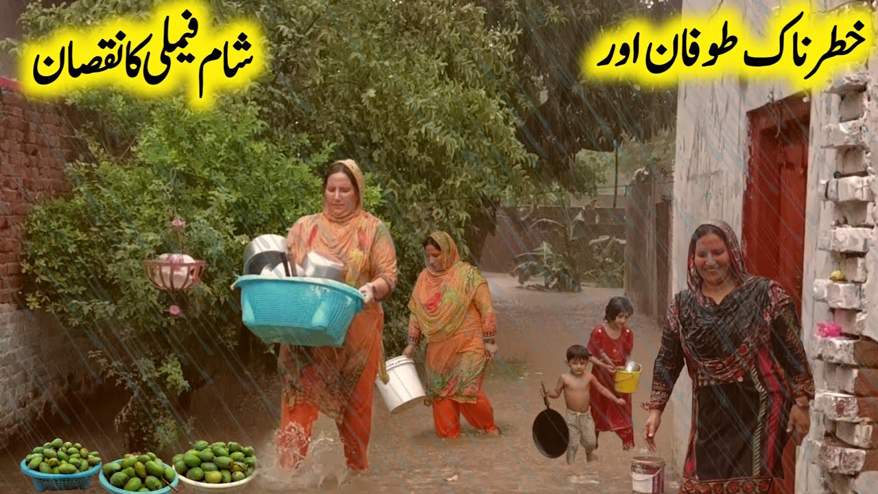 The Traditional Life | Sham Family Is Very Bad News | Dangerous storm | Village Sham