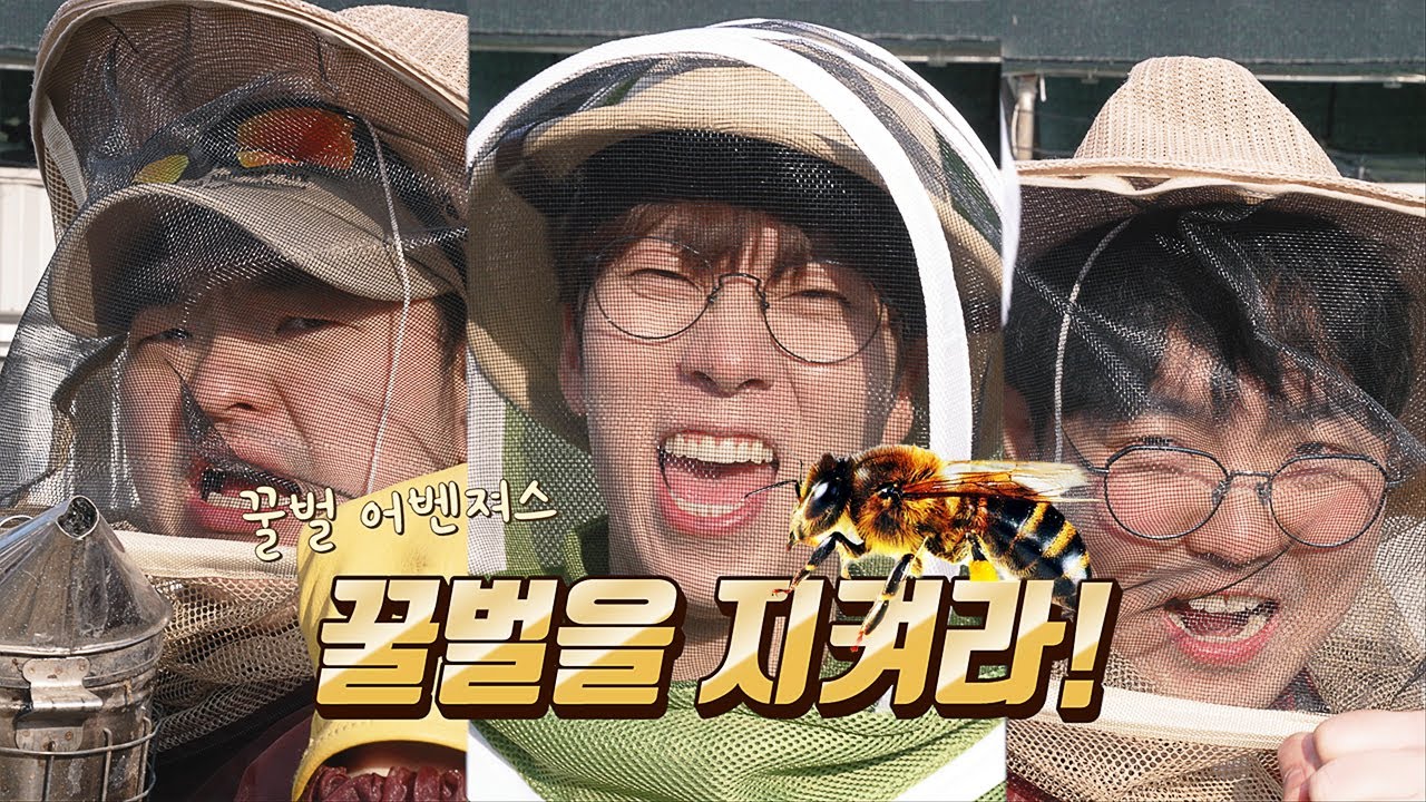 양봉장 '꿀벌' 어벤져스 출격! [모여라 생물팡팡 EP2]