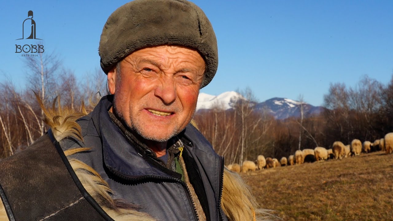 Badea Doruț la 67 de ani cu oile BREZE la poalele munților Țibleș | 35 de ani de ciobănie