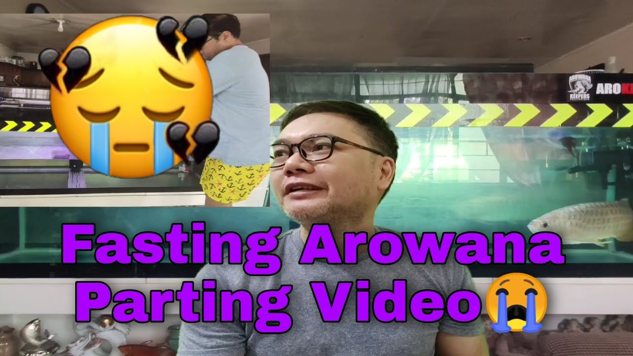 Arowana Fasting...a very sad video.