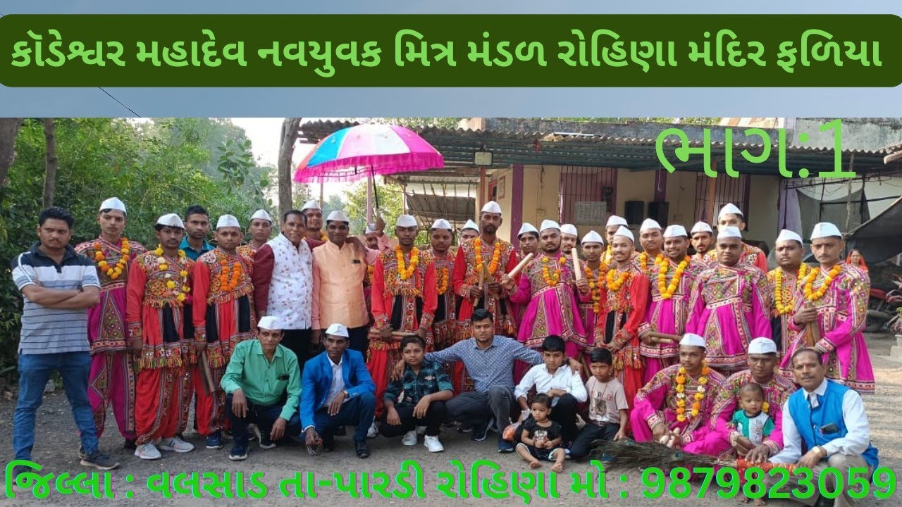 આદિવાસી ધોર 2023 | new ghoriya || રોહિણા મંદિર ફળિય ધોર||મો #9879823059
