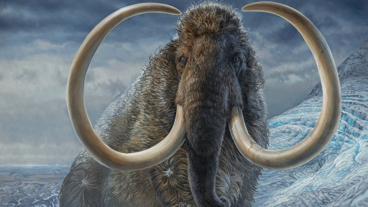 Ancient Humans vs. Megafauna: Epic Battles with Prehistoric Beasts! 🦖⚔️