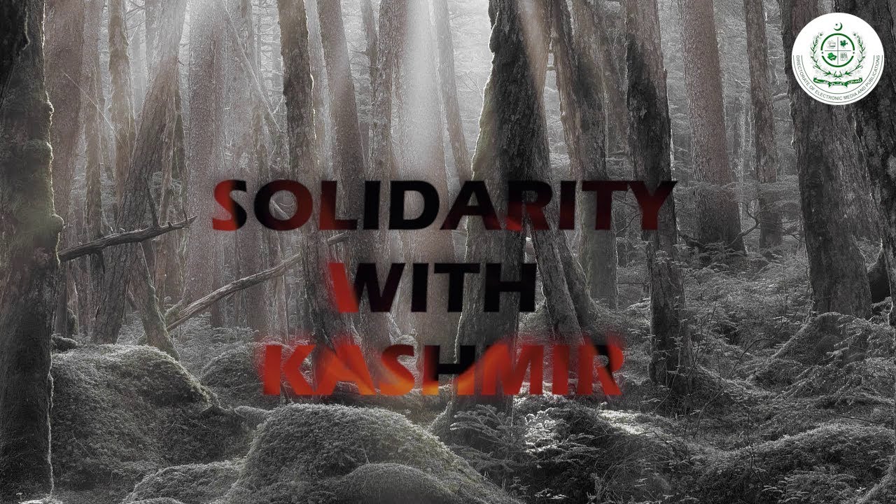Solidarity with Kashmir (Short Documentary)