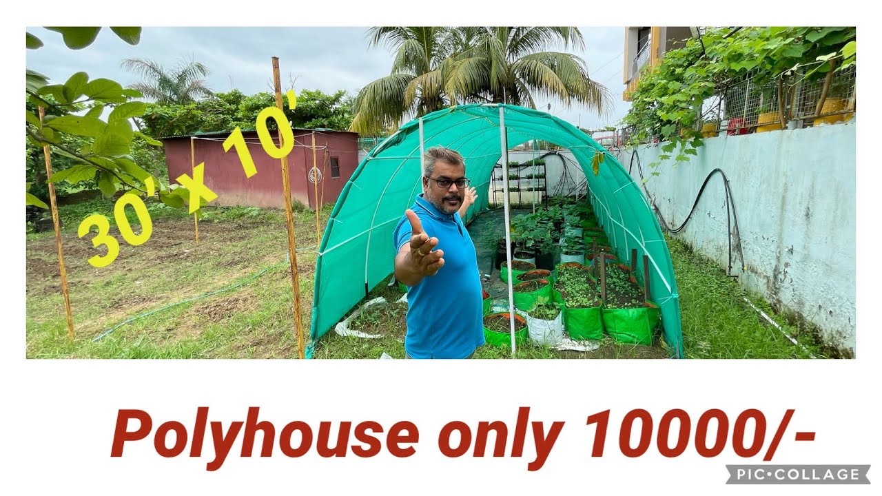 पॉली हाउस कैसे बनाएं | polyhouse farming in india | polyhouse | polyhouse construction | 