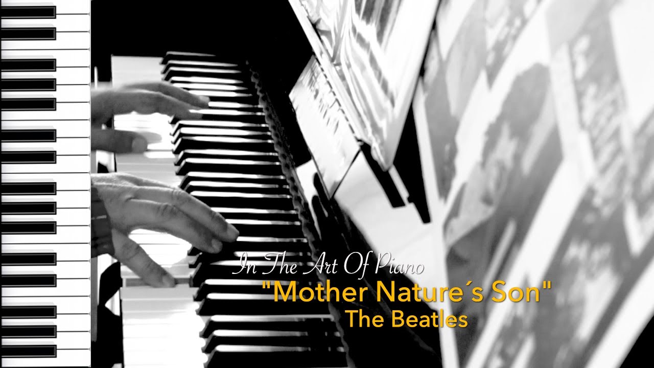 Song No.330 