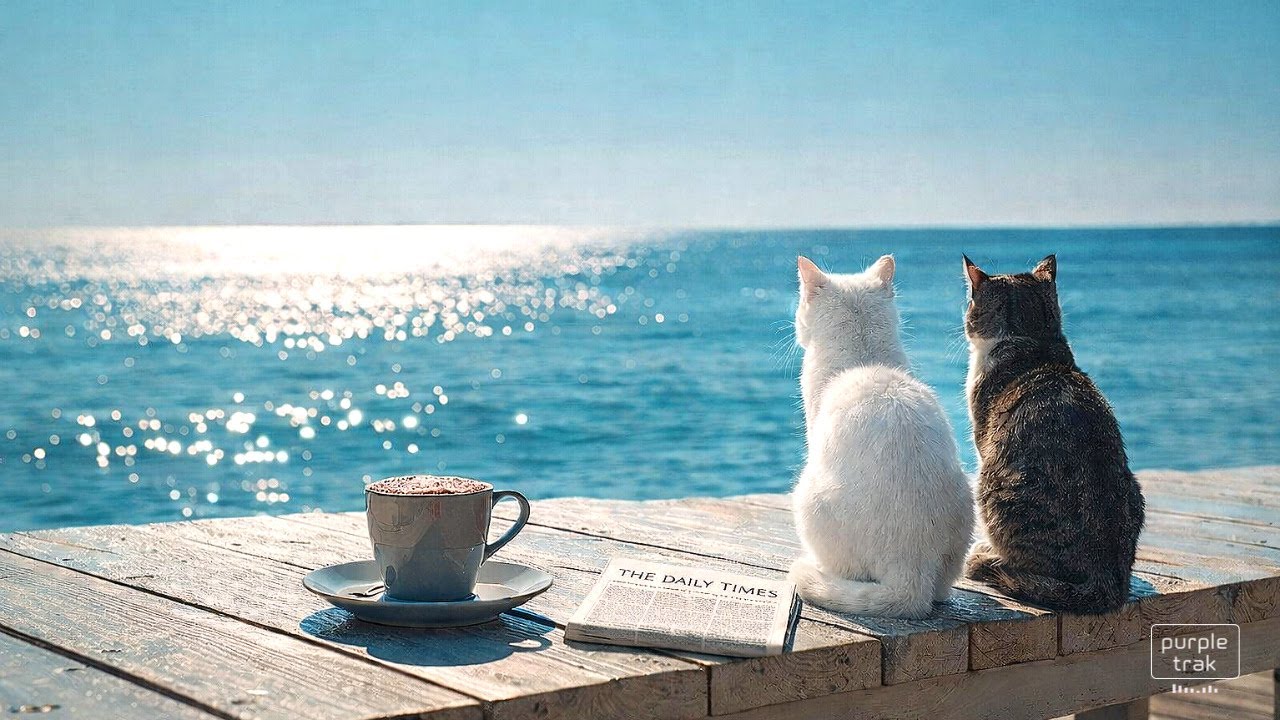Хочу просто остаться так сегодня ☕ Chill Soft Pop & R&B Playlist