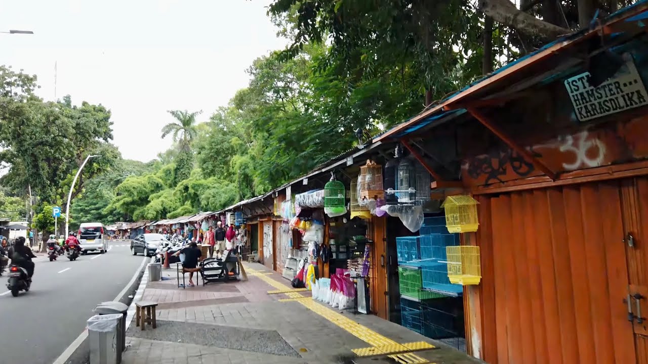 Pasar Burung Barito - Jakarta April 2020