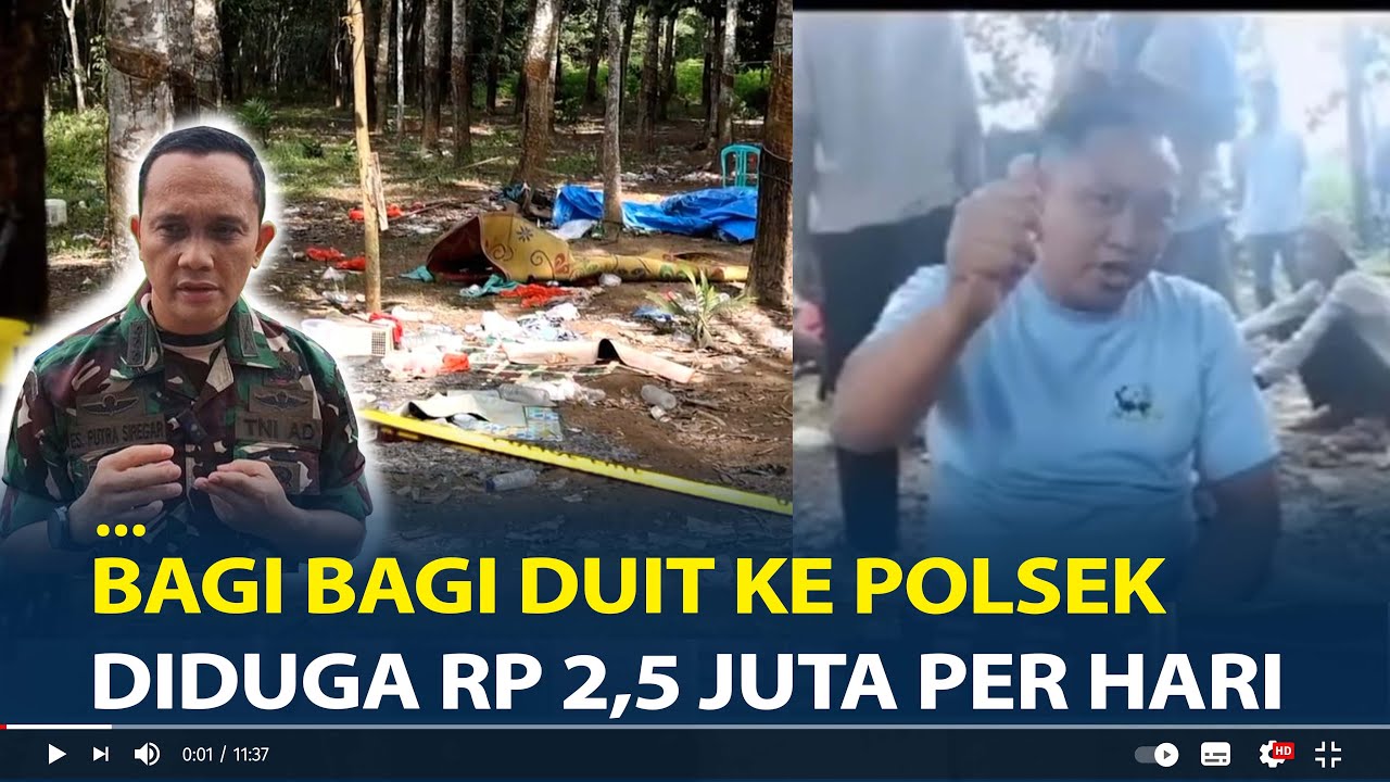 Peltu Lubis dan Kopka Basarsyah, Akui Bagi bagi Duit Sabung Ayam ke Polsek