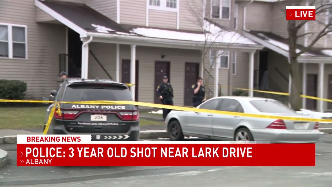 Three-year-old boy shot in Albany home