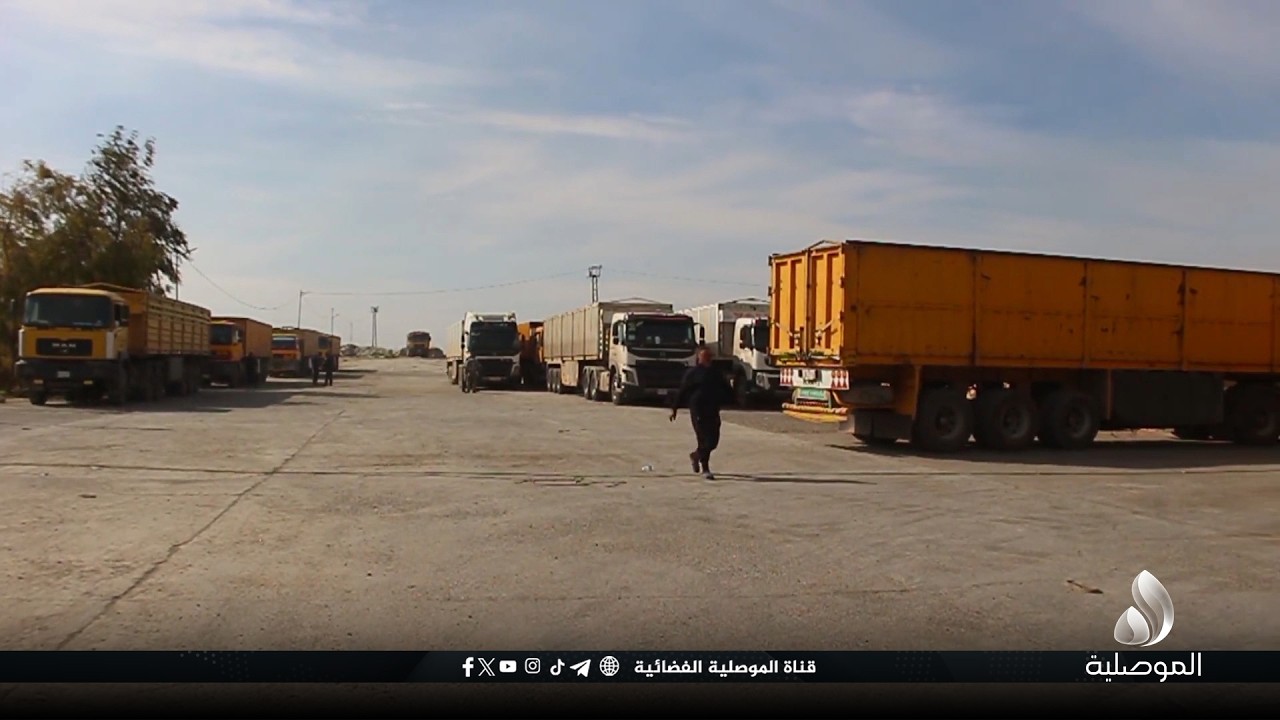 المباشرة بمناقلة الحنطة من سايلو مشيرفة في نينوى إلى العاصمة بغداد
