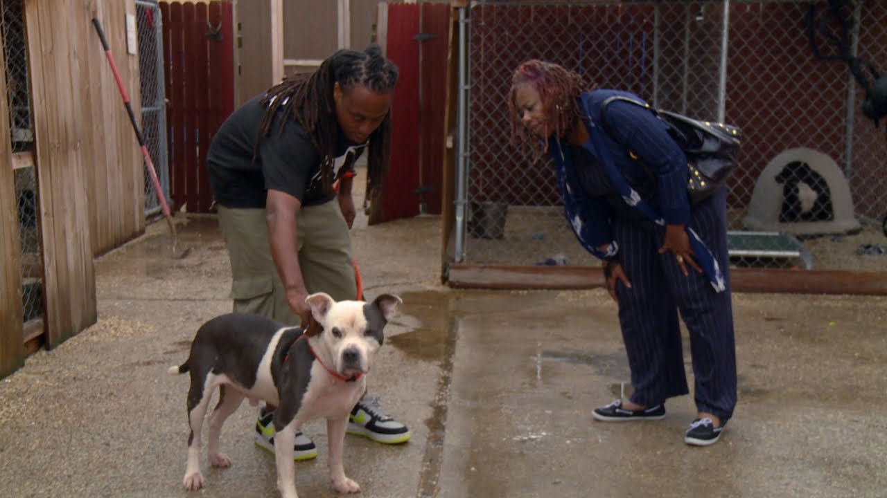 Sui's Sweet Mom Comes to Visit - Son and Pups