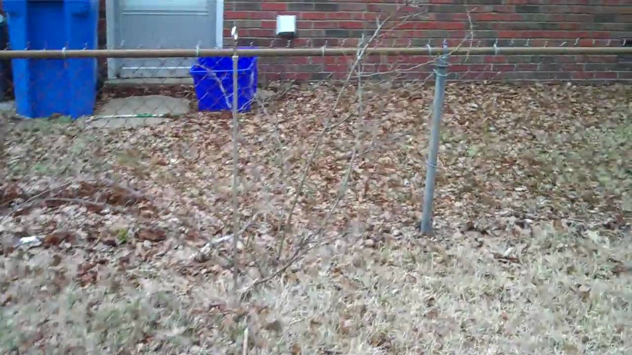 port rd video