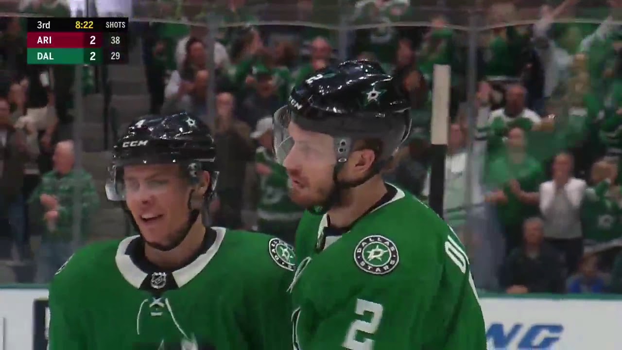 Dallas Stars All Defenseman Goals 2019-2020 NHL Season
