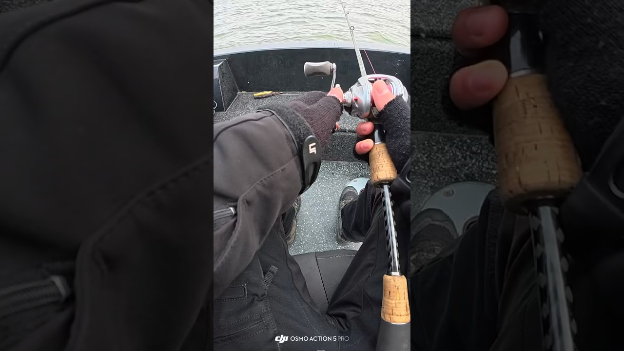 #fishing