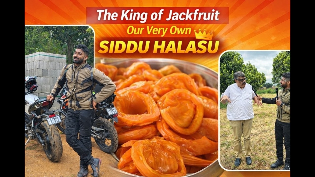The King of Jackfruit our very own Siddu Halasu | Kannada Vlog