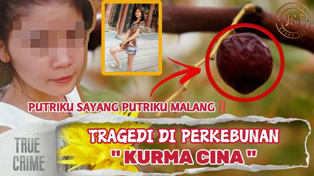 #JST49 | TR4GEDI DI PERKEBUNAN JUJUBE ( KURMA CINA ) | KISAH NYATA KASUS LIU JIAO