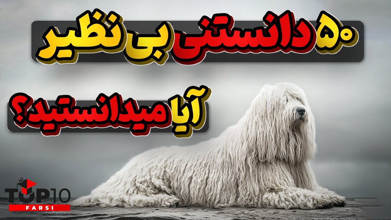 آیا میدانستید؟ 50 دانستنی جالب و بی نظیر