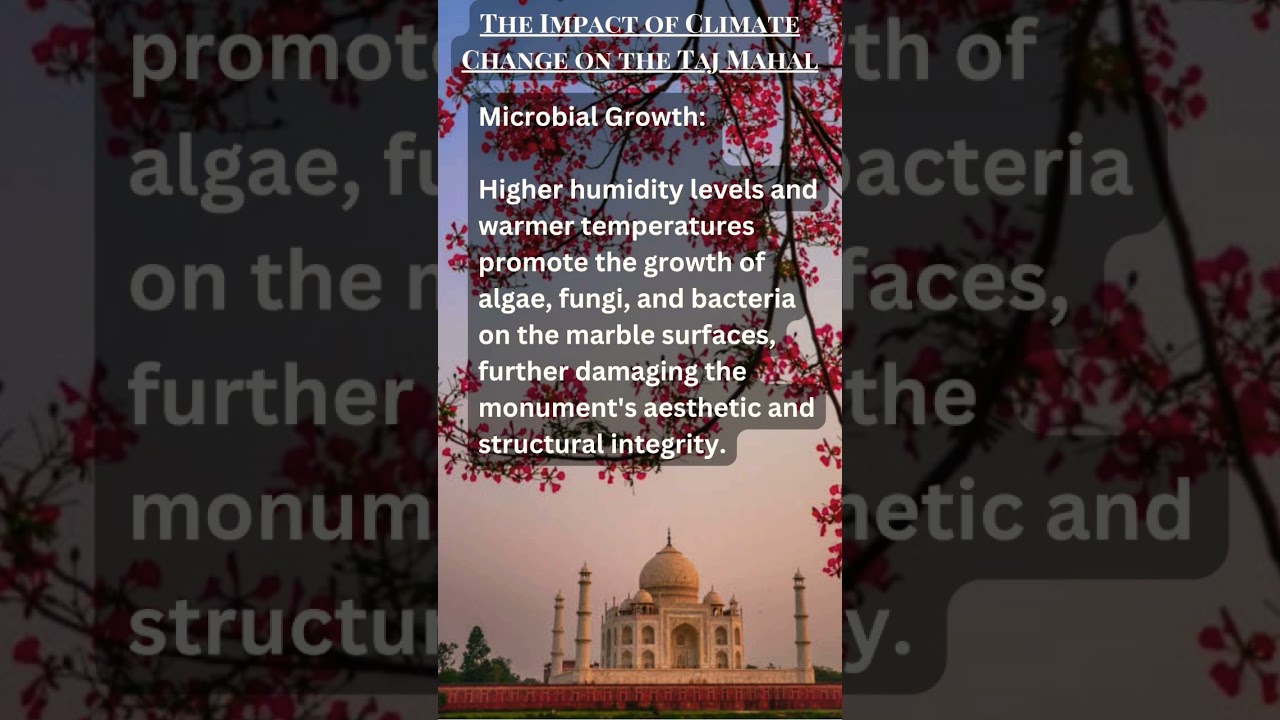 The Impact of Climate Change on the Taj Mahal 