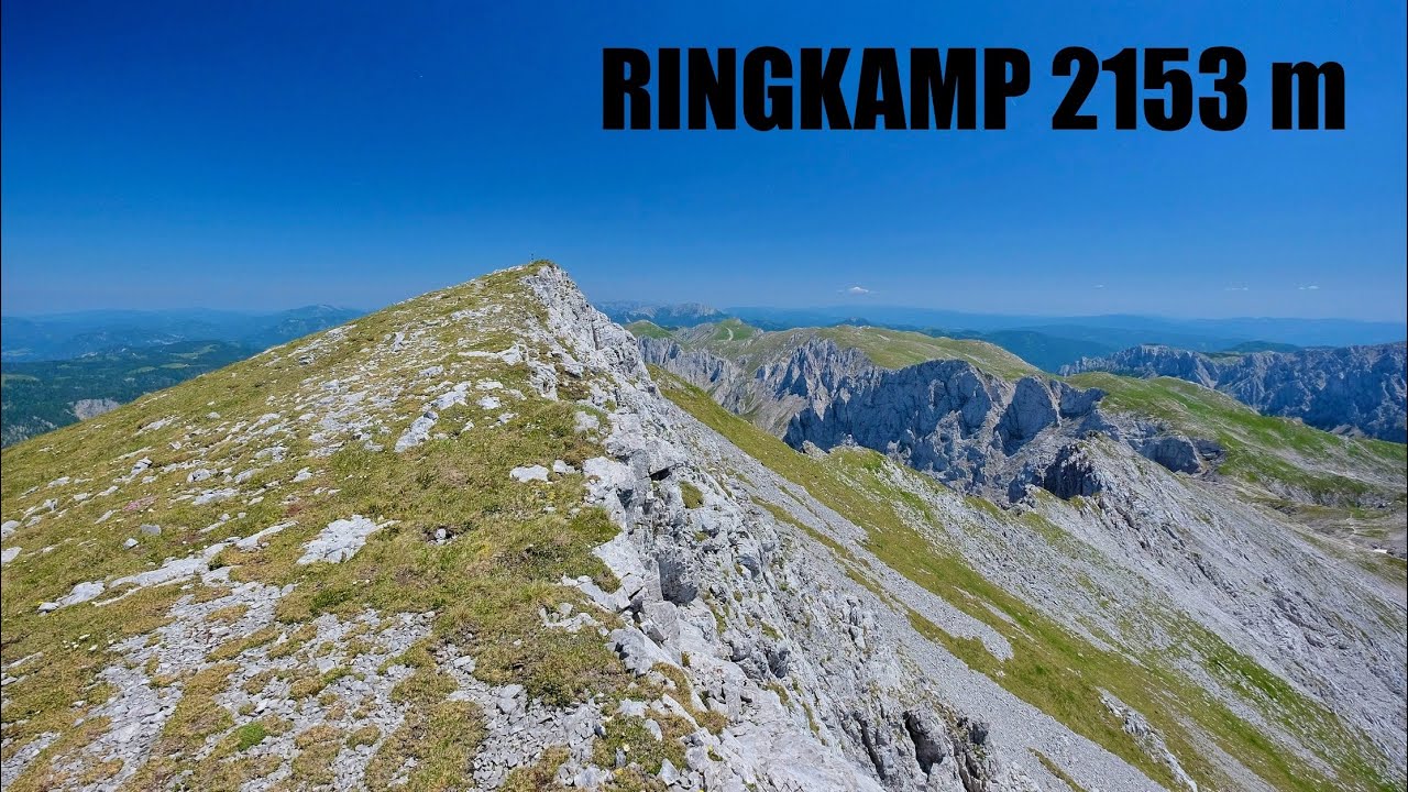 Ringkamp