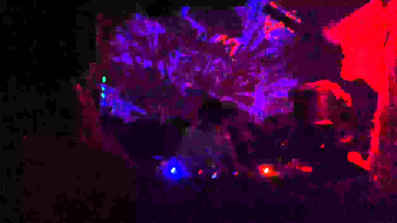 Raresh & Praslea @ SNRS48 - Eden Club