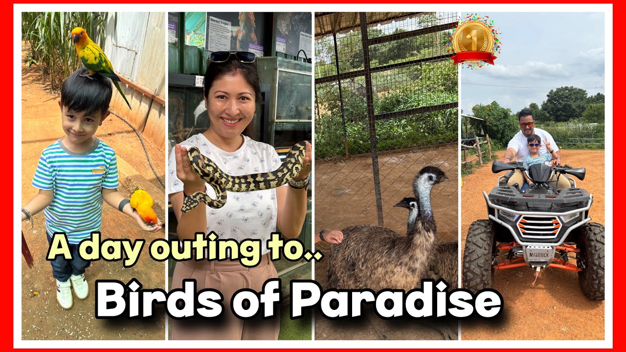 How is  Birds of Paradise in Kanakapura Road Bangalore ?  Best Family outing places near Bangalore