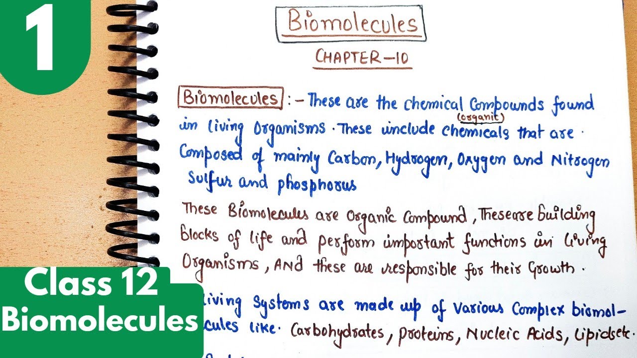 1) Biomolecules| Monosaccharide, Oligosaccharide, polysaccharide, organic chemistry class12 #cbse