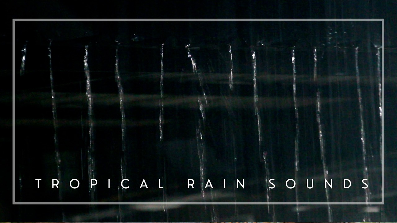 Heavy Tropical Rain Sounds with Distant Thunder for Deep Sleep, Focus, and Calm Relaxation