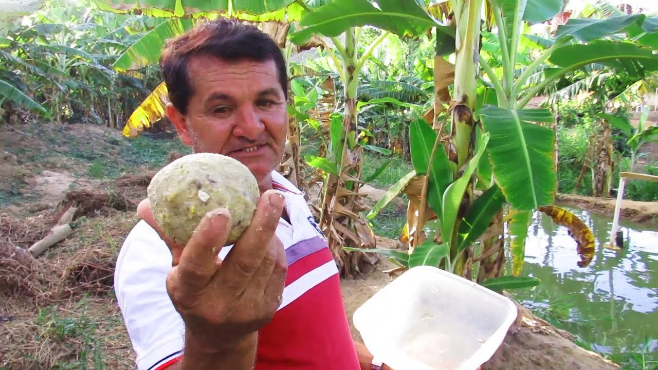 COMO FAZER RAÇÃO DE PEIXE (TILÁPIA)
