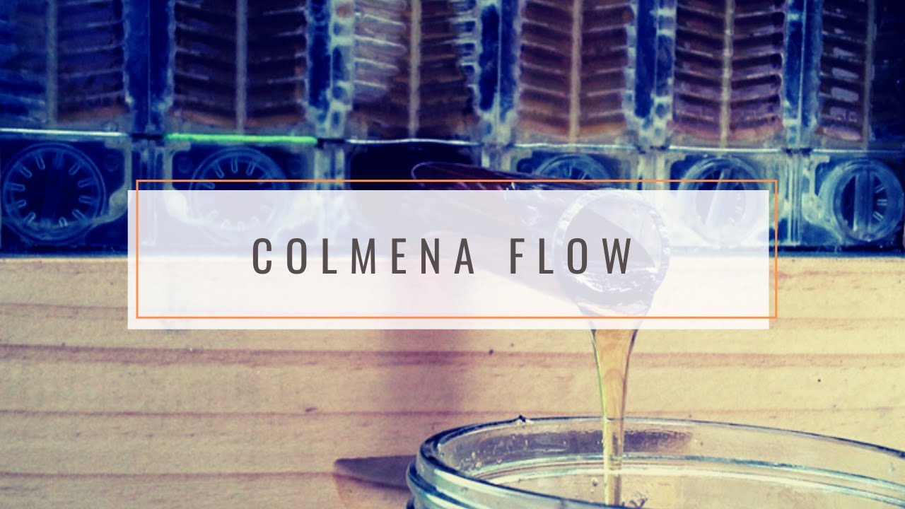 ♥ IMAGUINA tener MIEL GRATIS Siempre 🍯 NO TE PIERDAS La Mejor COLMENA para las ABEJAS 🐝 (Flow Hive)