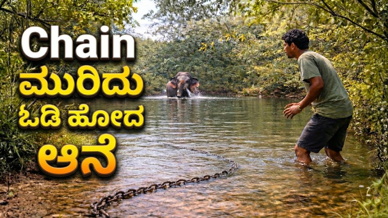 ಹೊಸವರ್ಷದಲ್ಲಿ ಏನಾಯ್ತು ಗೊತ್ತಾ