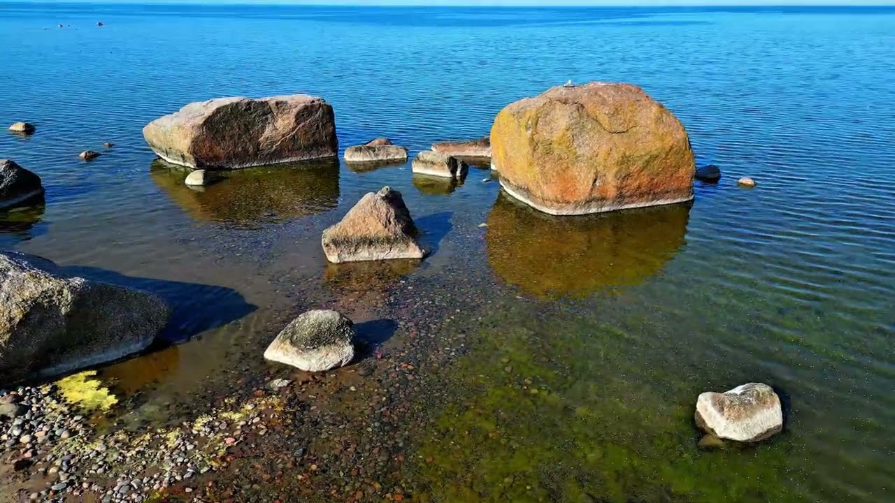 Lobi rannik