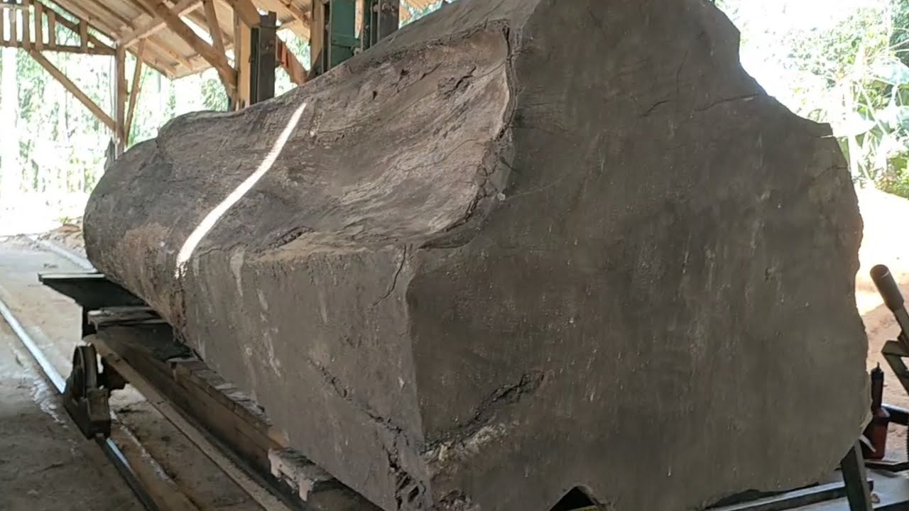 the process of cutting large pieces of wood worth millions