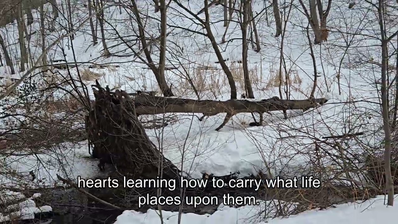 Winter's Understanding