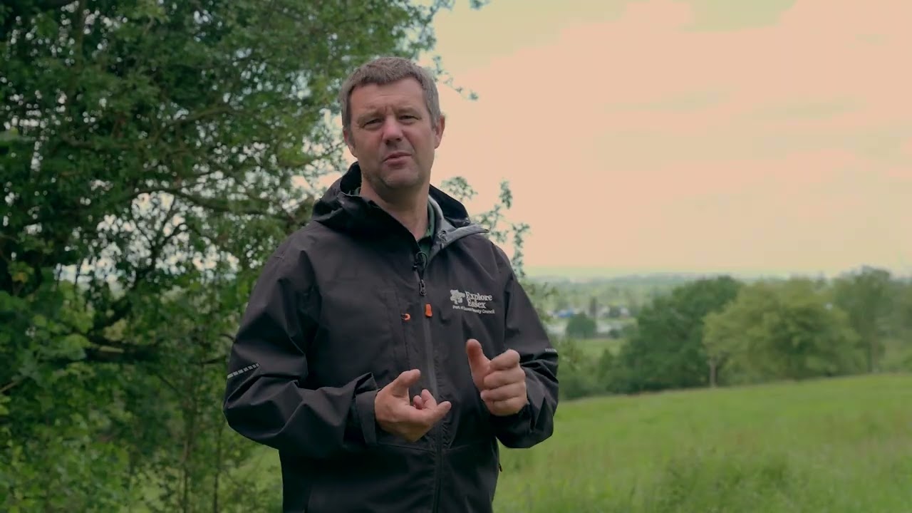 Landscape Restoration at Hadleigh Country Park