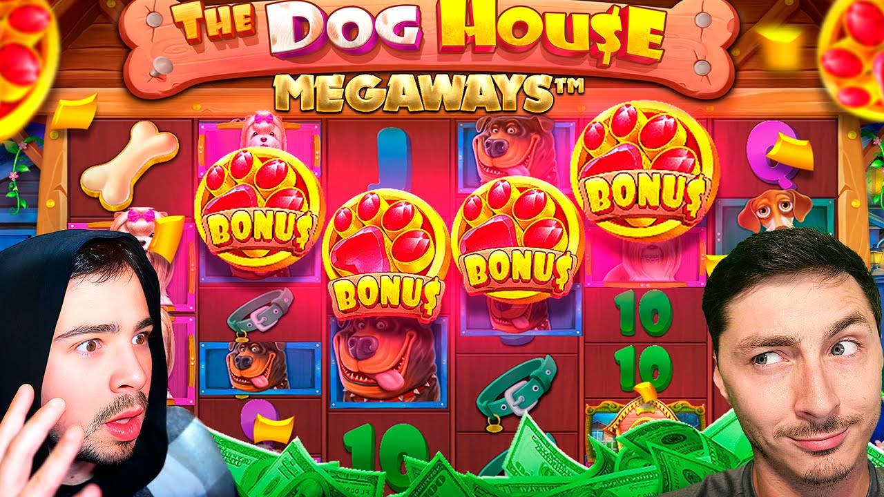 We Spent $10,000 on DOG HOUSE MEGAWAYS...