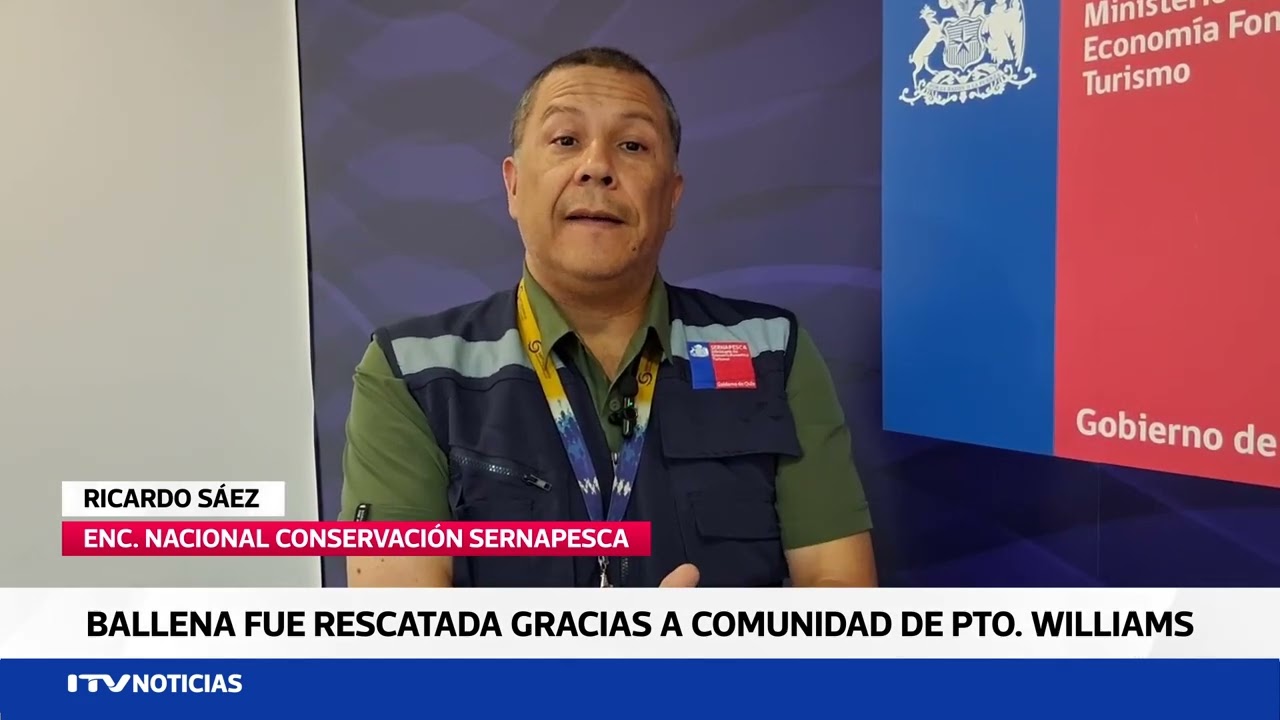Rescate comunitario permite salvar a ballena sei varada en Puerto Williams