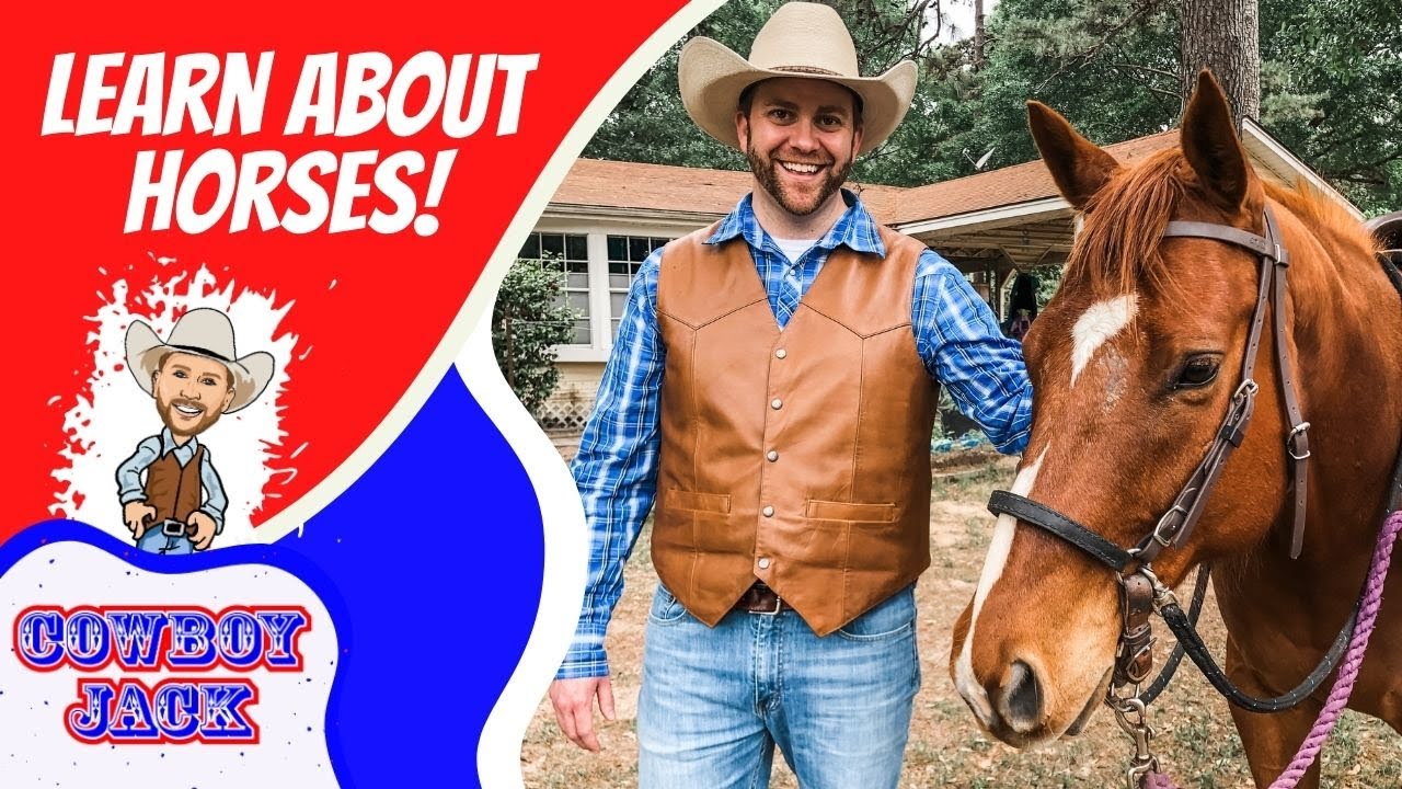Learn about Horses | Cowboy Jack | Educational Videos for Kids