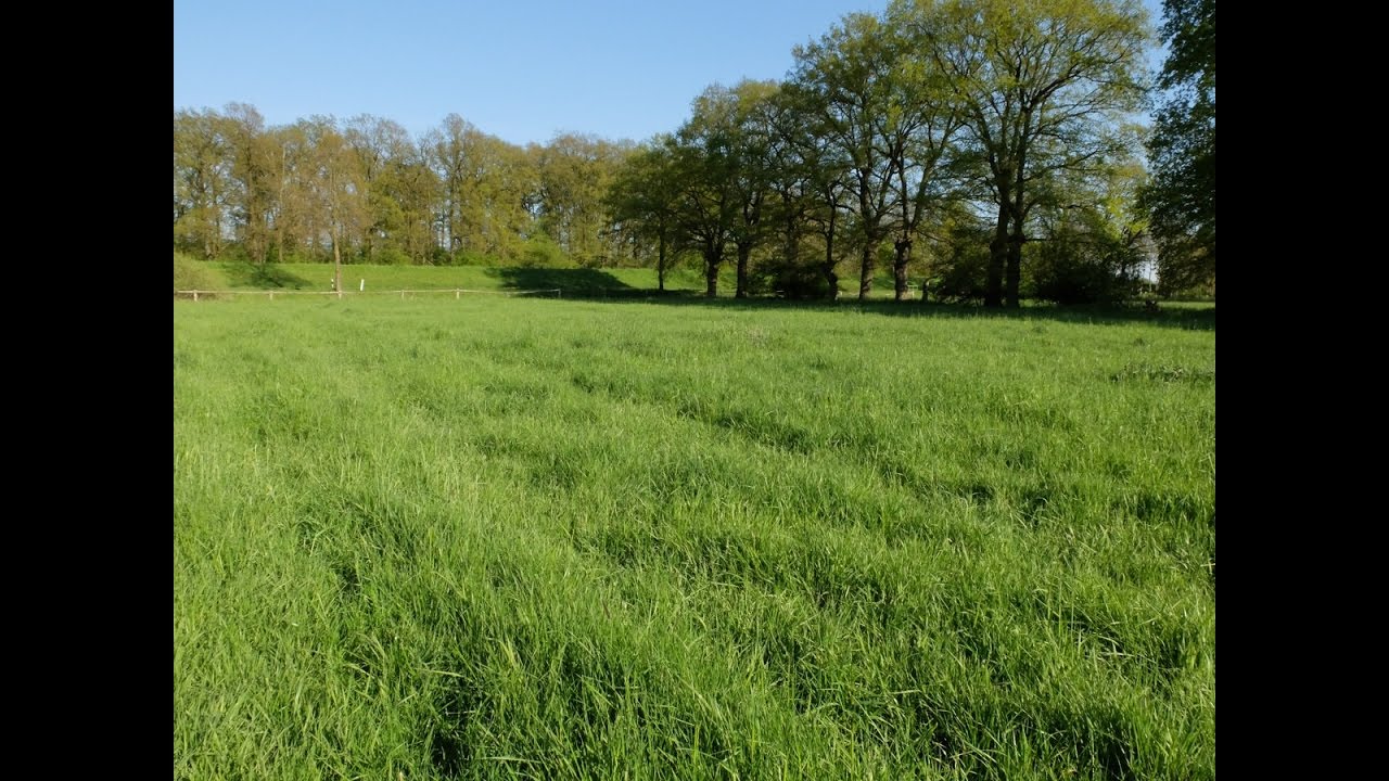 Erfahrungen mit Plocher humusboden