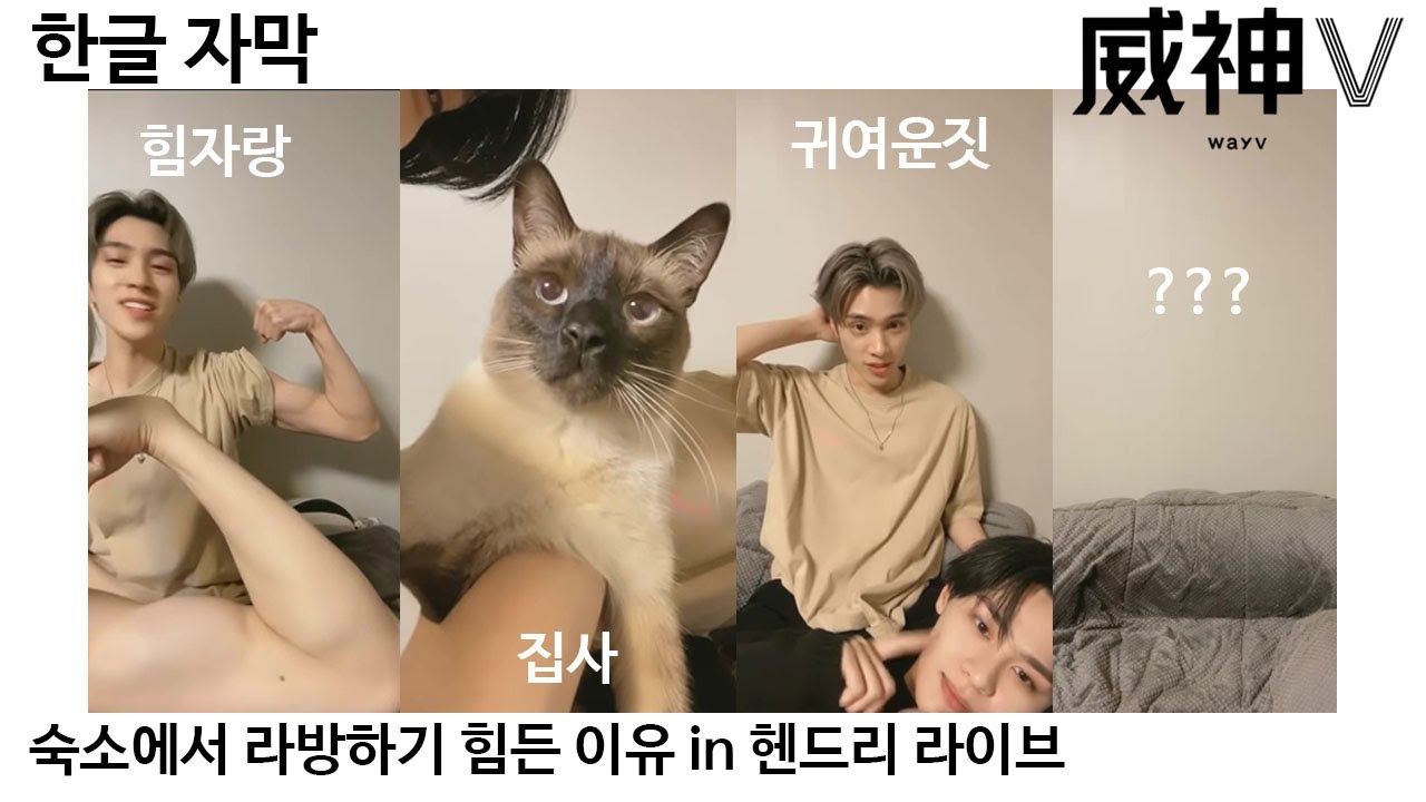 [헨드리/ wayv ]숙소에서 라방하기 힘든 이유, 한글자막