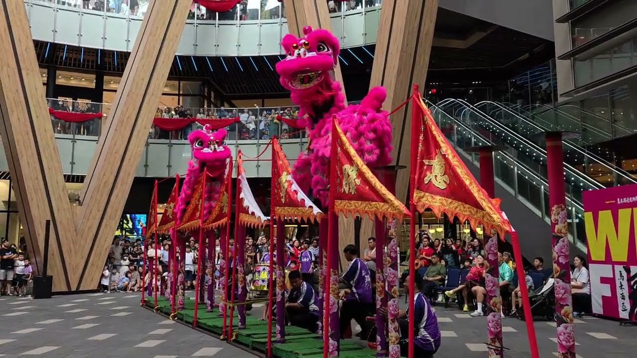#龙狮节 Acrobatic Lion Dance (múa lân 高桩舞獅) by 比麟堂 BLT @ Lalaport, Malaysia.  20260201