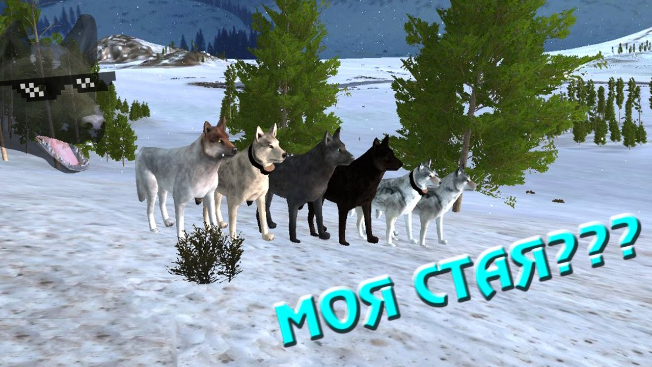 ОХОТА СТАИ НА ЛОСЕЙ~WOLF QUEST 2.7.3