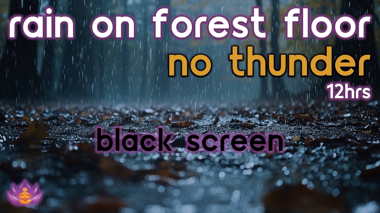 [Black Screen] Rain on Forest Floor No Thunder | Rain Ambience | Rain Sounds for Sleeping