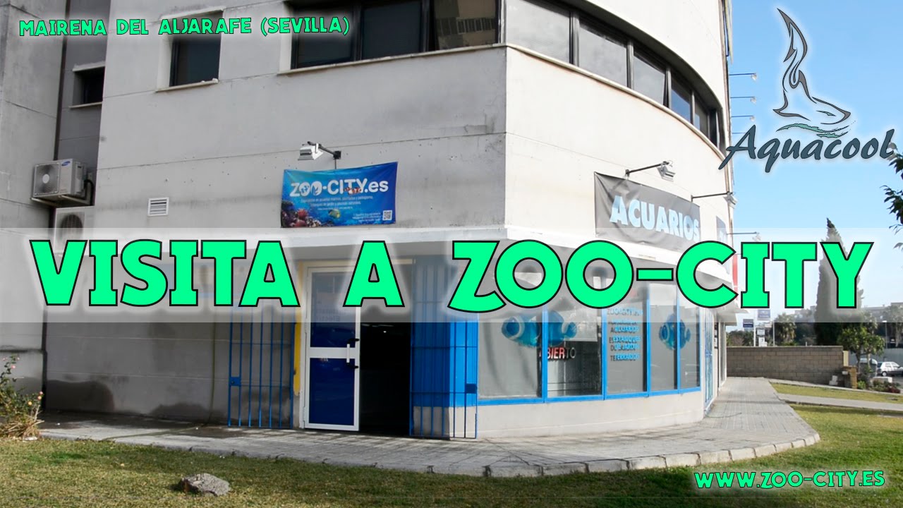 Visita a Zoo City | Tienda Acuariofilia