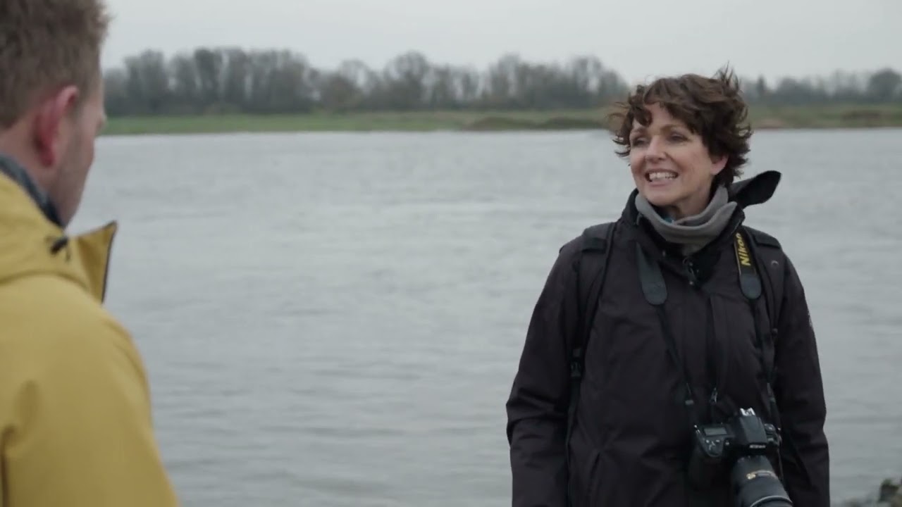 gelderse koppen 'levende rivier' 1080p