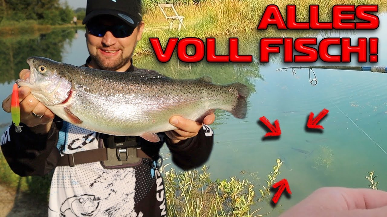 Platzwechsel bringt volle BOX | Forellenangeln im Sommer | Patrick´s Angelteiche