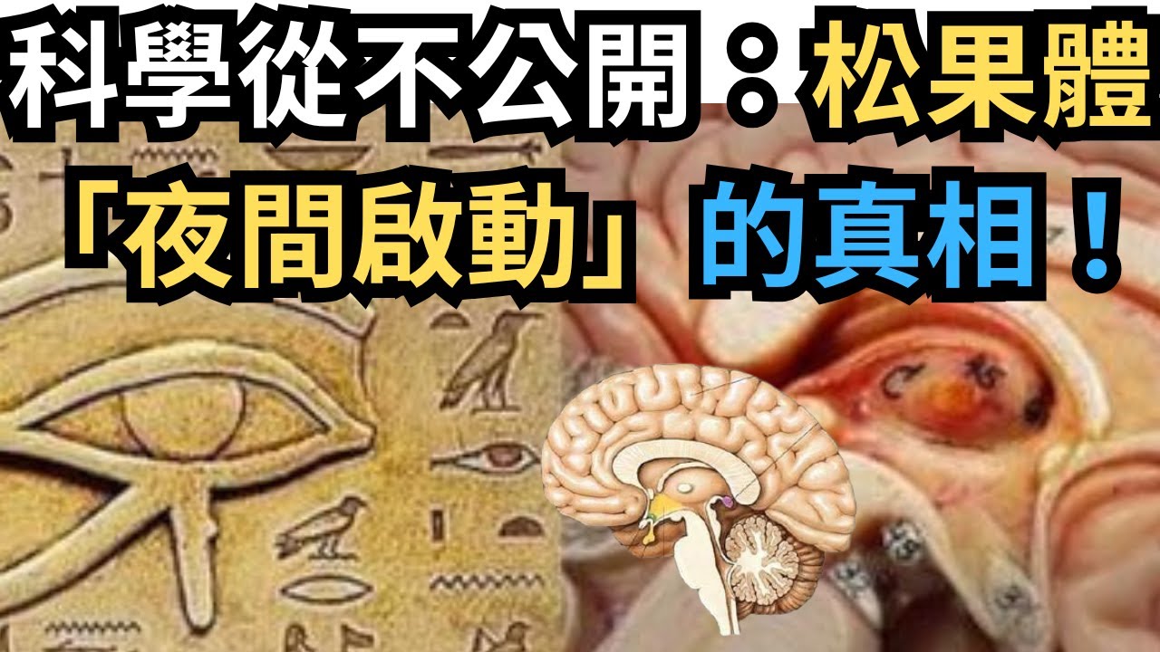 這就是你的松果體每晚發生的情況（秘密知識）『GRACEAURAMIRROR』